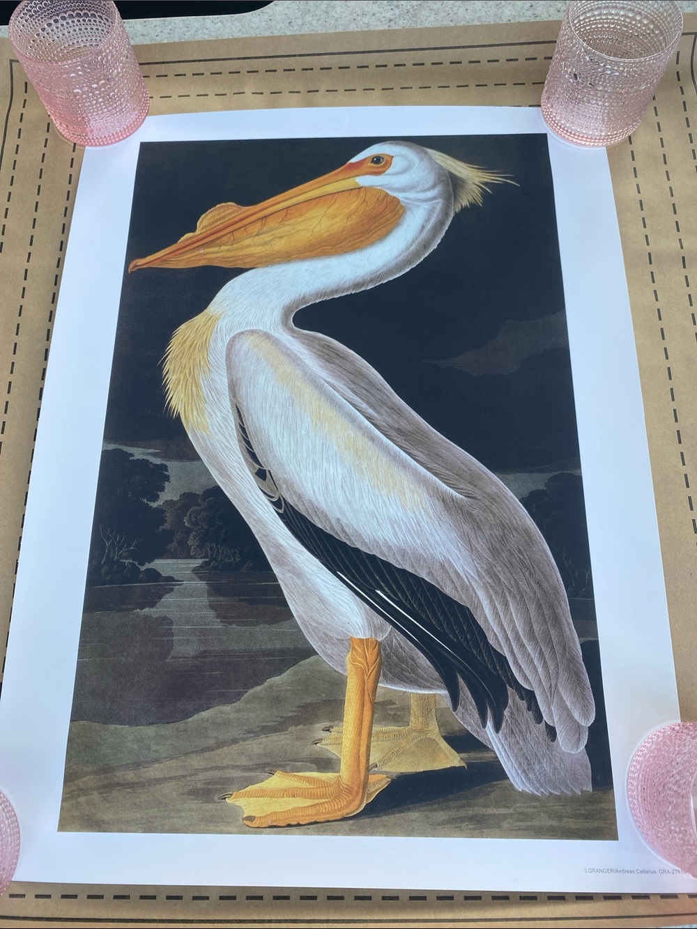 Vintage-Style Pelican Art Print – White & Yellow Illustration